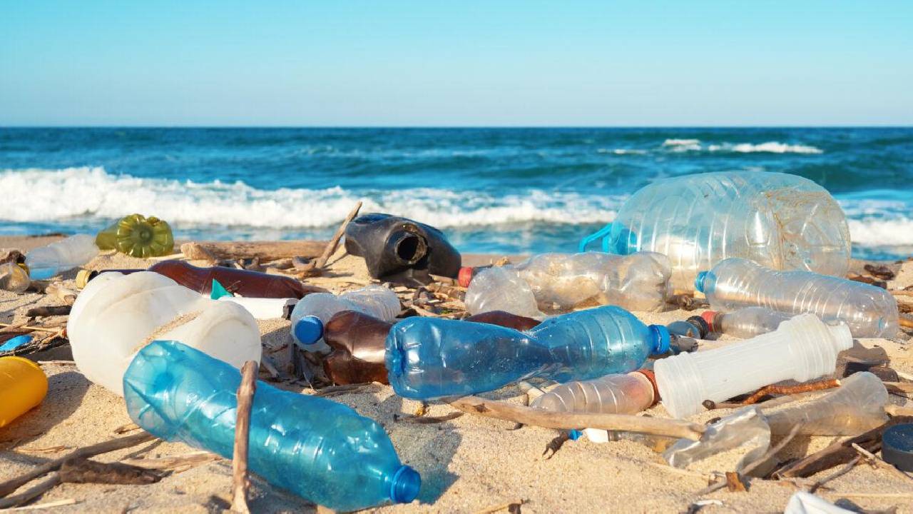 MASP APRESENTA EXPOSIÇÃO SOBRE COLAPSO CLIMÁTICO